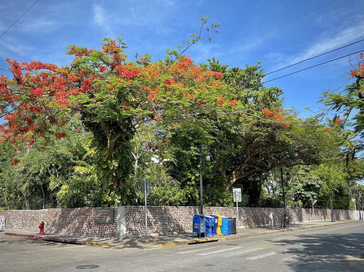 Ernest Hemingway Home and Museum