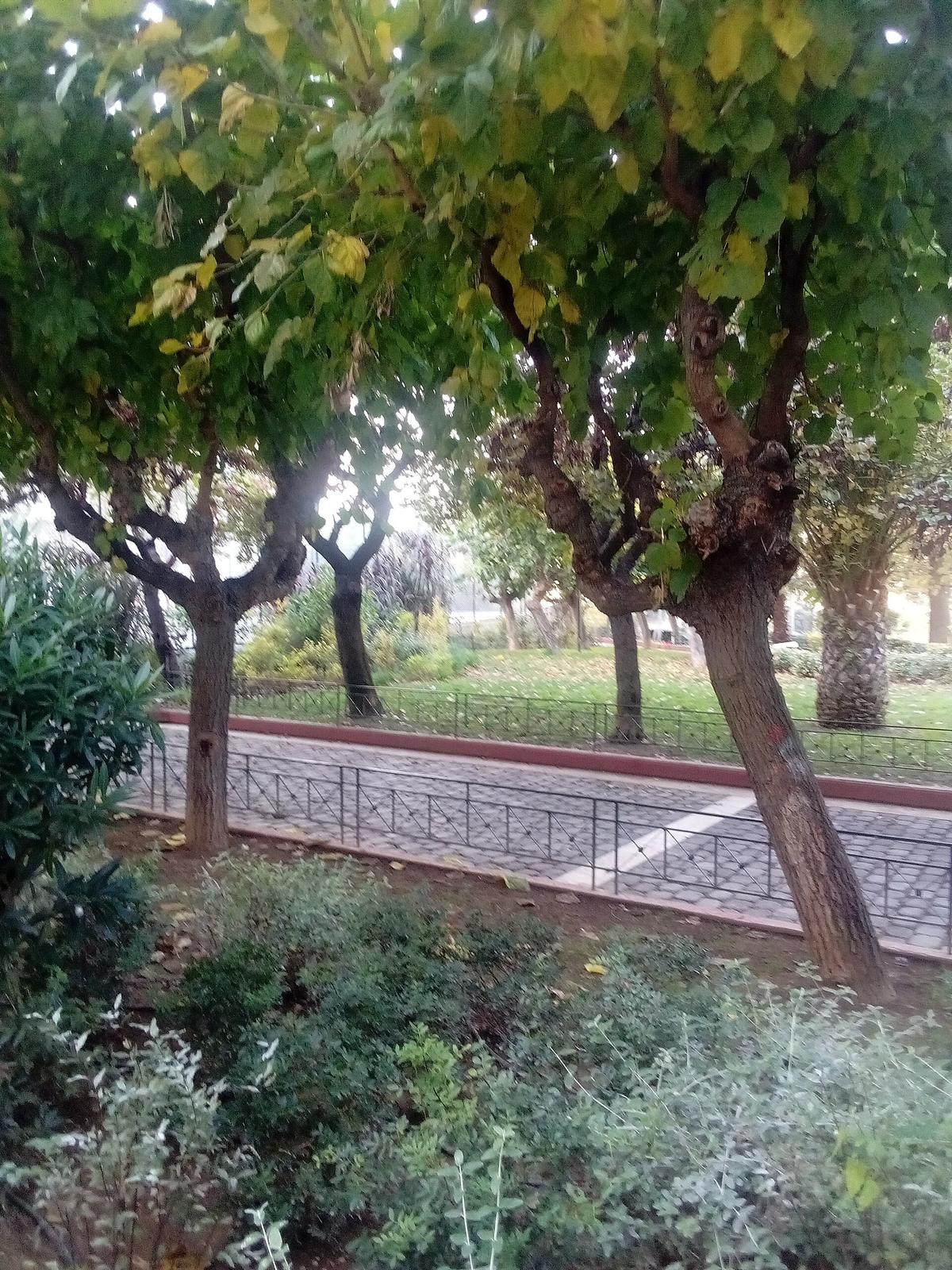 Athens city view