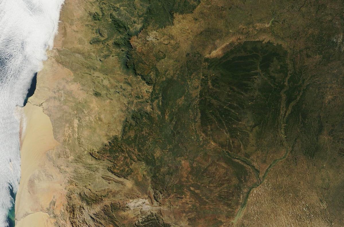 Zambian savanna landscape