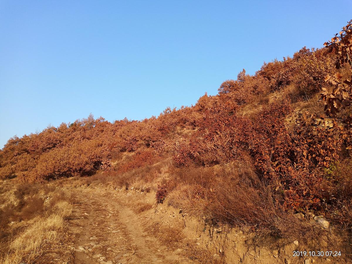 Chinese mountains autumn