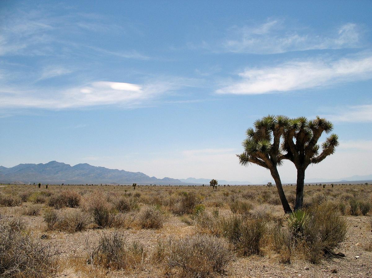 Nevada desert basin range landscape