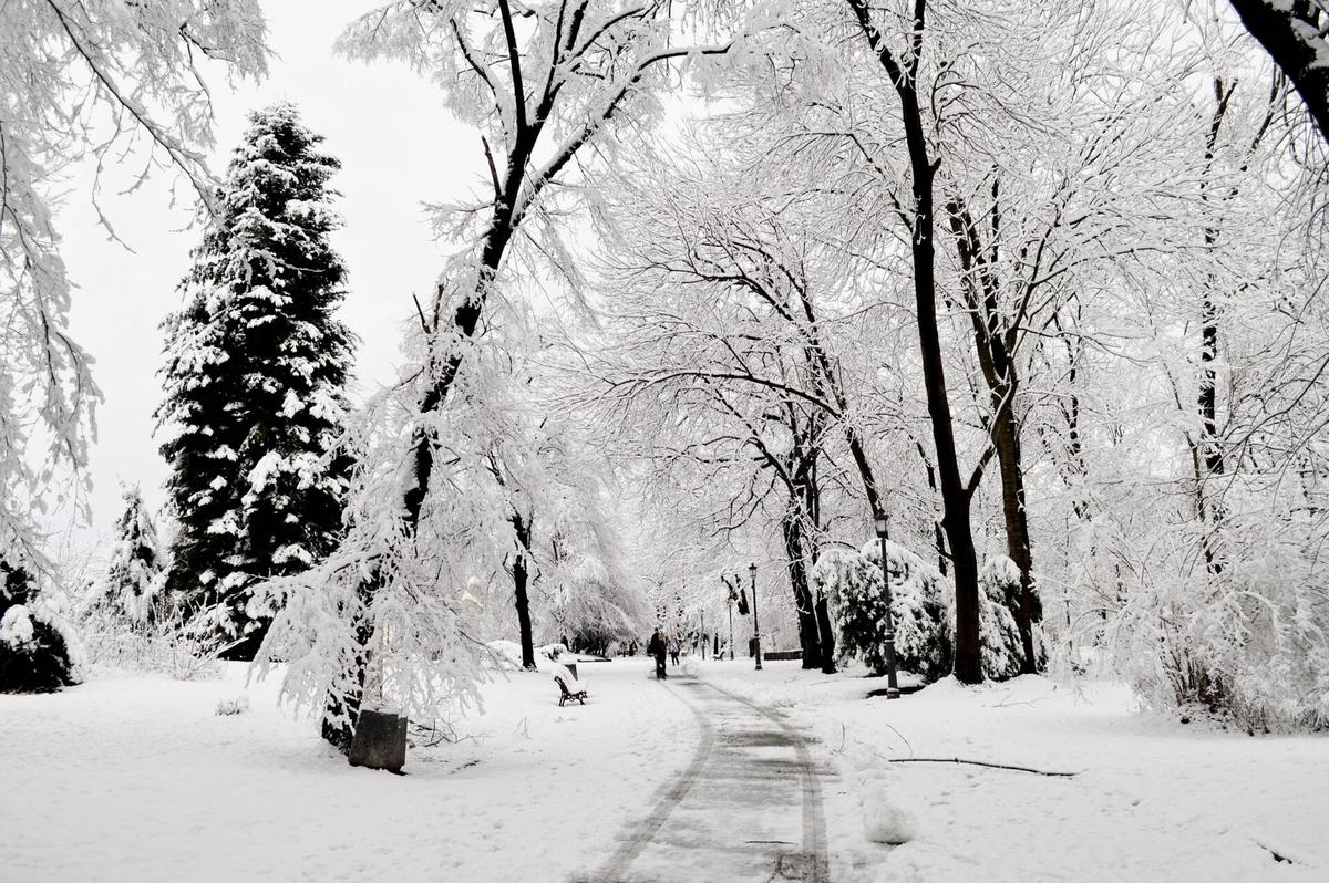 Sofia street season