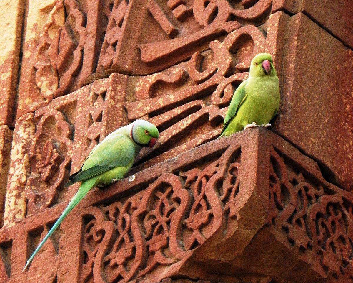 New Delhi street season
