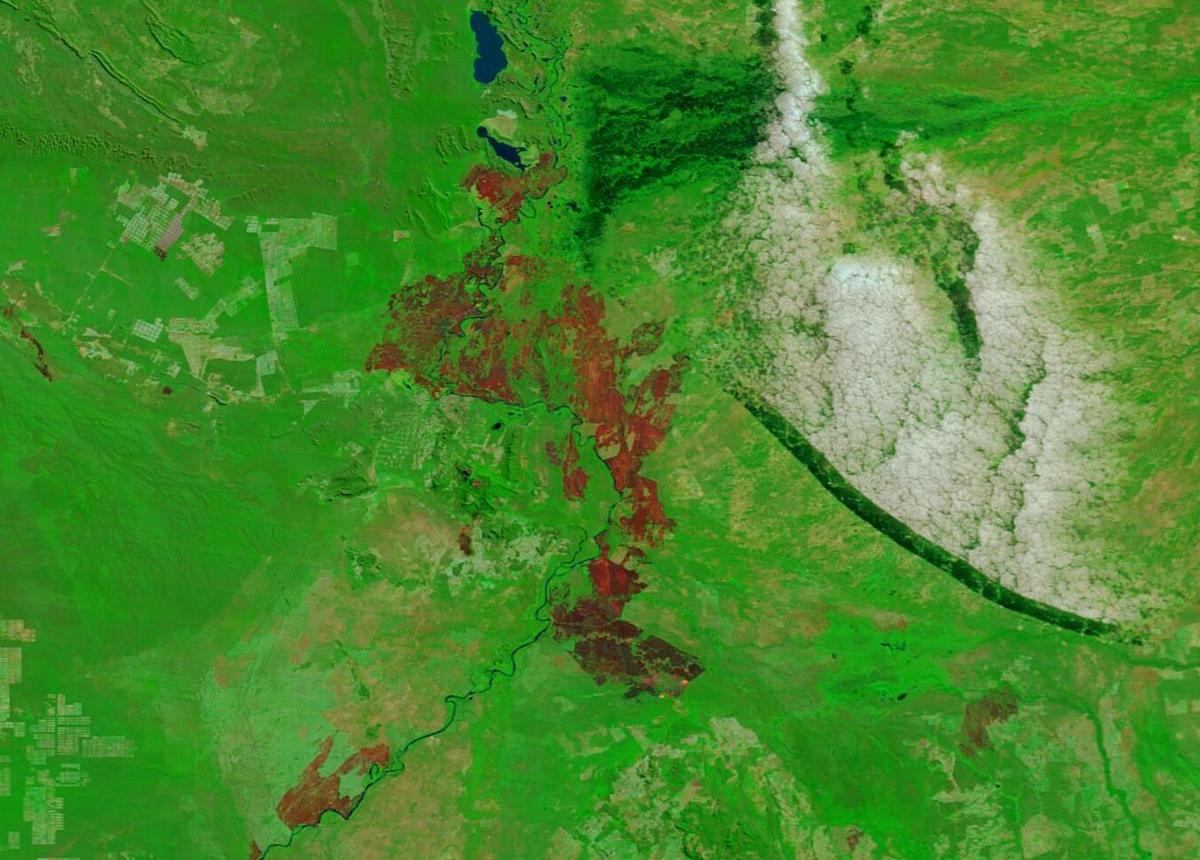 Pantanal wetlands dry season