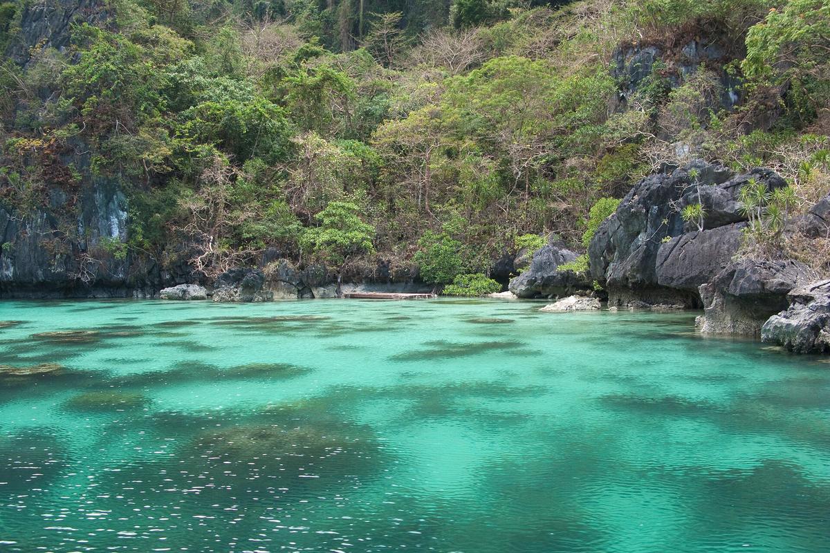 Palawan limestone island
