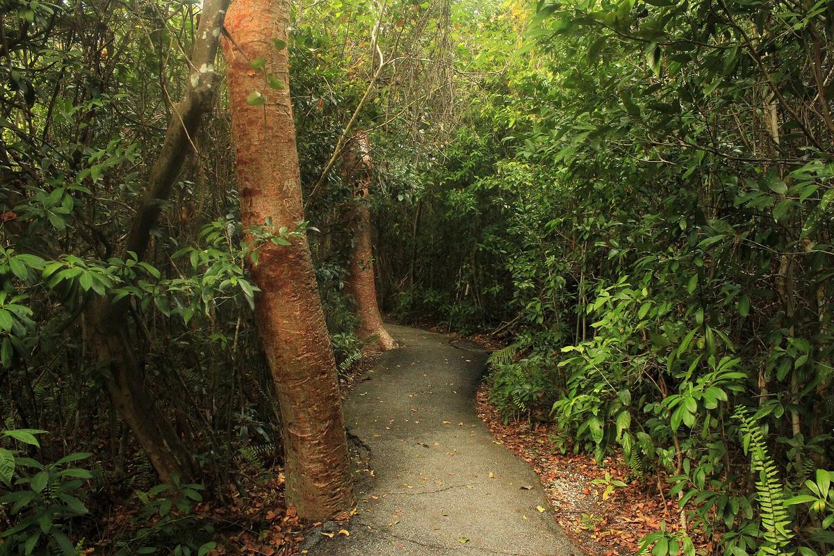 Everglades National Park Florida