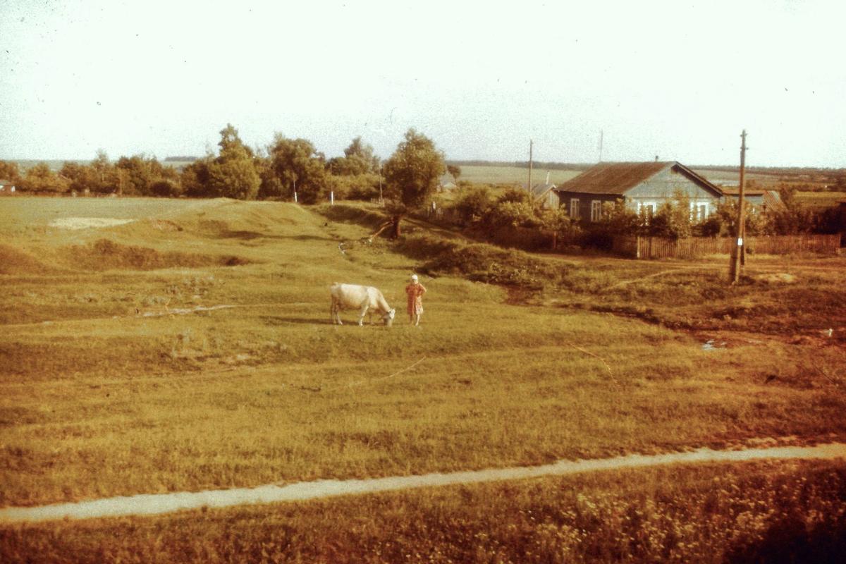 Russian summer countryside