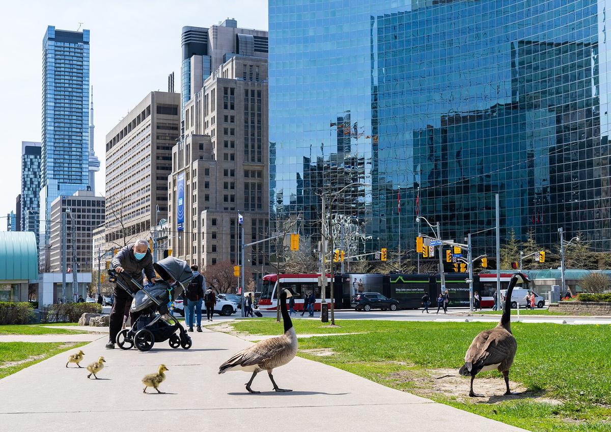 Downtown Toronto