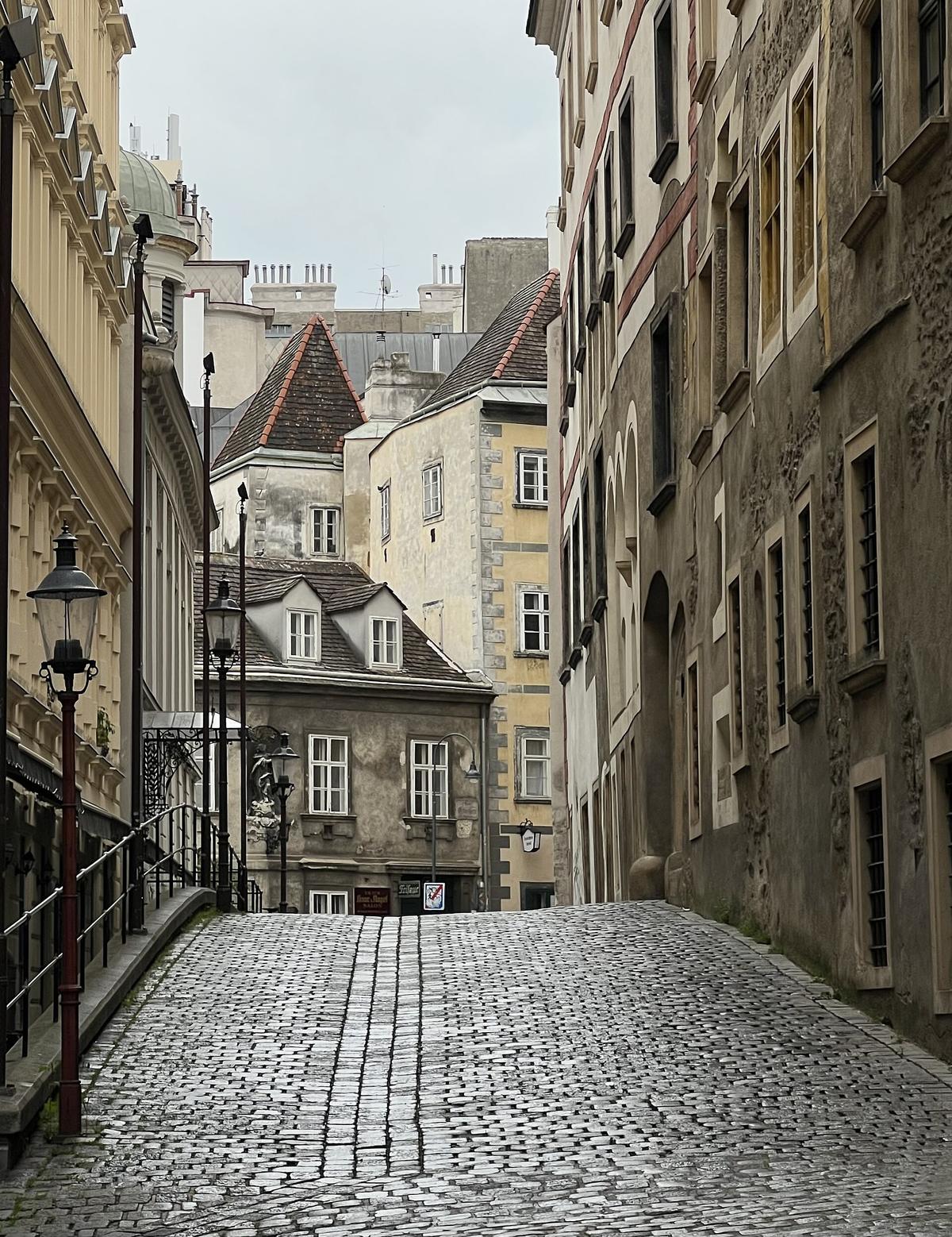 Vienna street scene