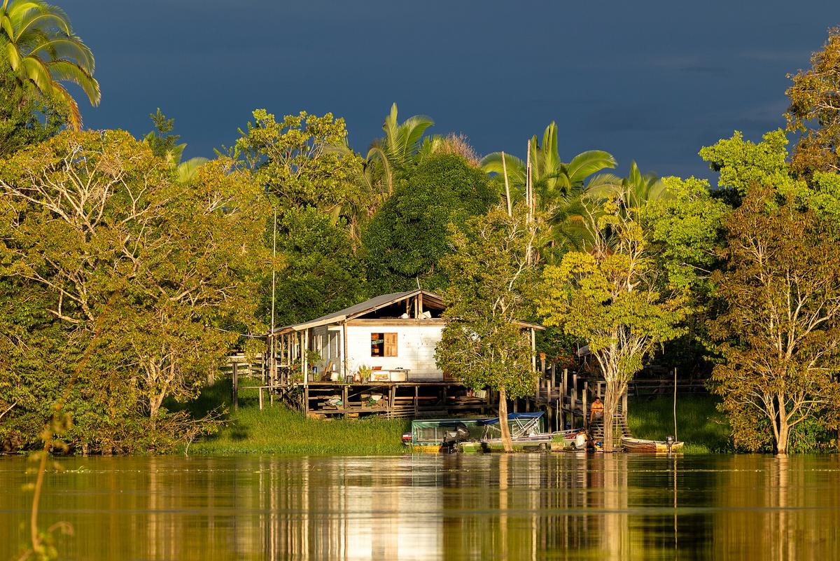 Amazon rainforest river Brazil