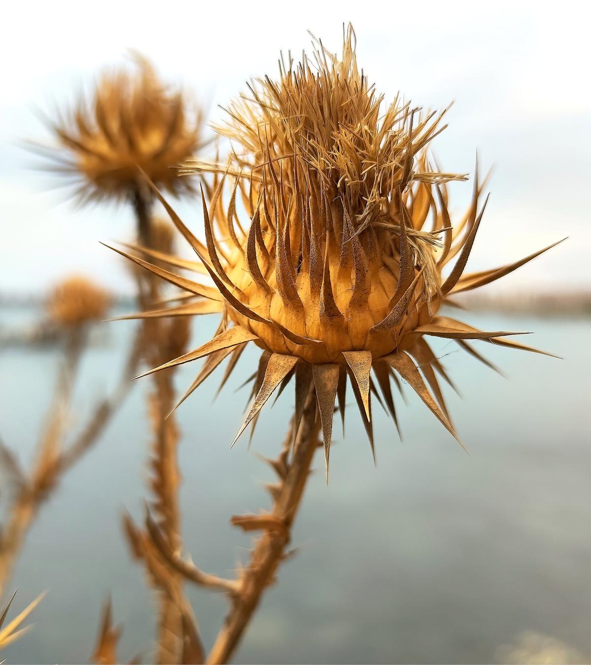 Black Sea coast Bulgaria