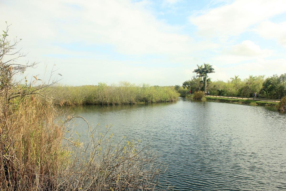 Everglades National Park Florida