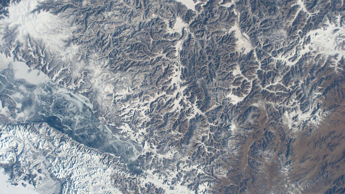 Siberian taiga landscape
