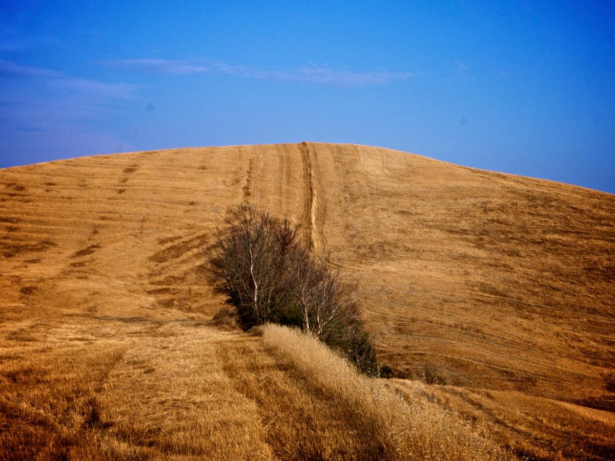 Tuscany hill