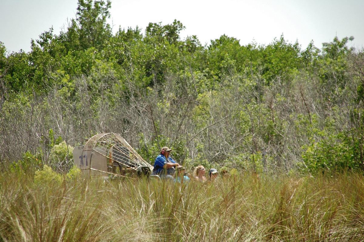 Everglades National Park airboat