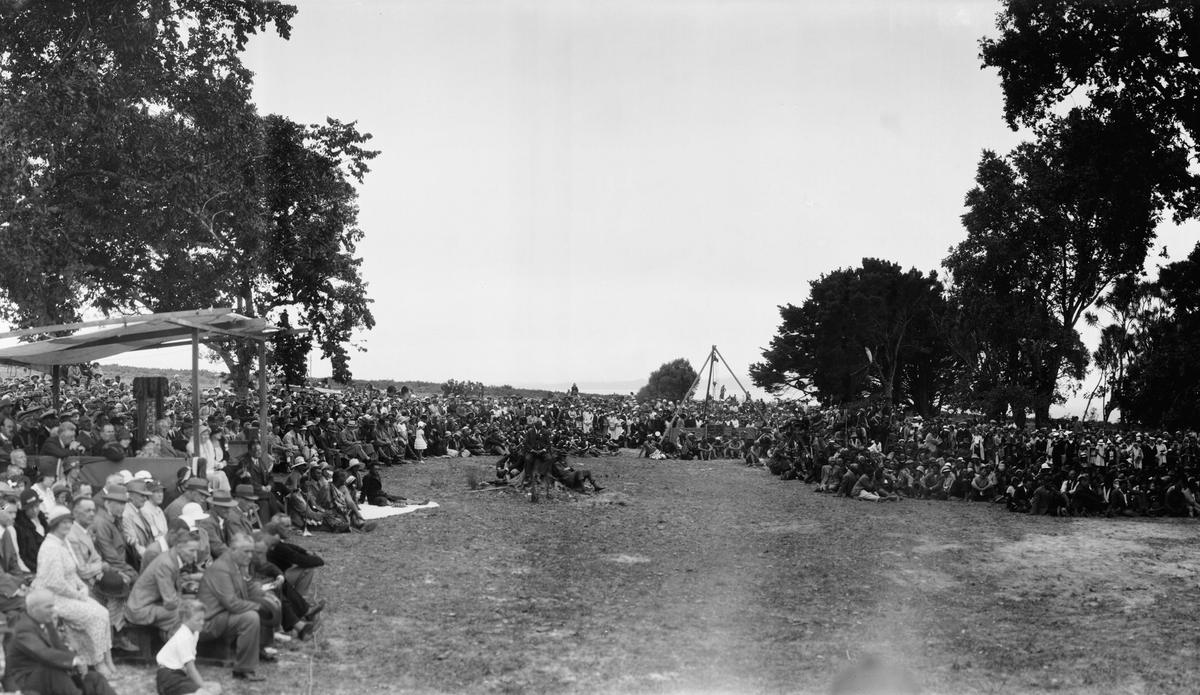 Waitangi Day New Zealand