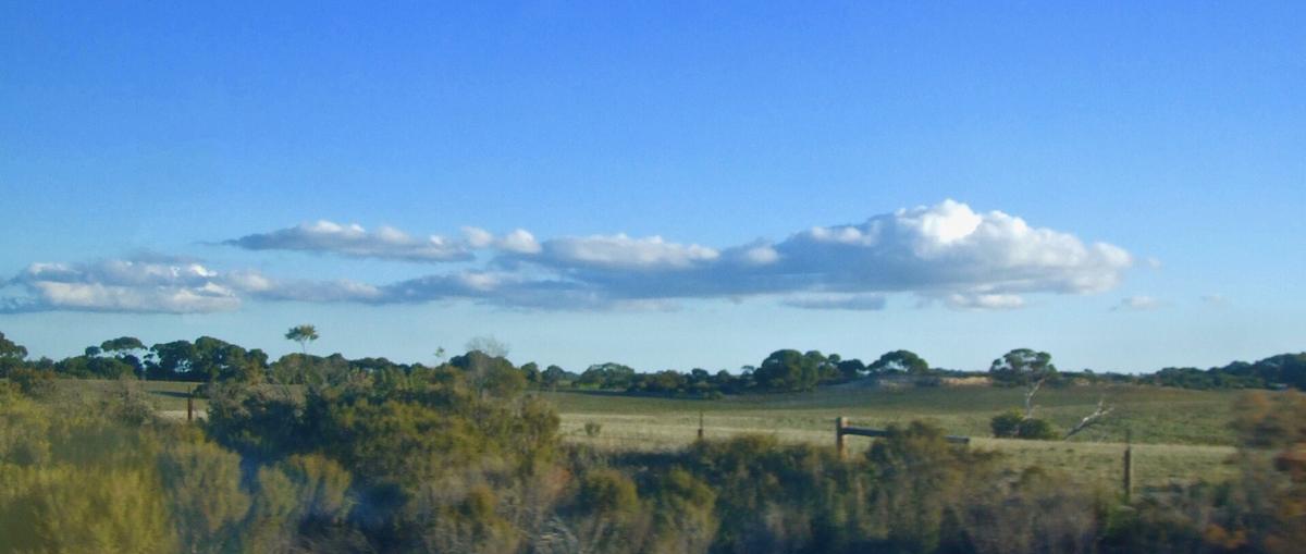 Australian country show