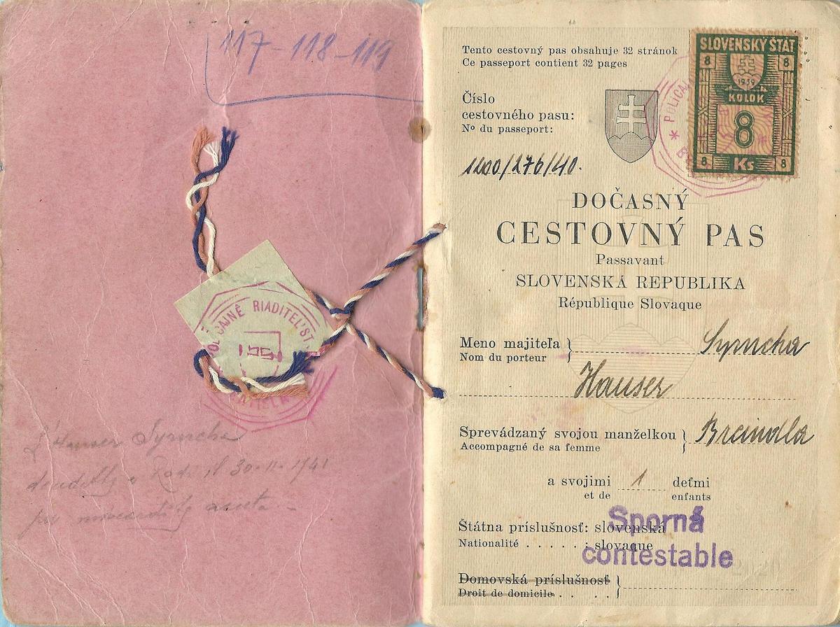 Italian passport document